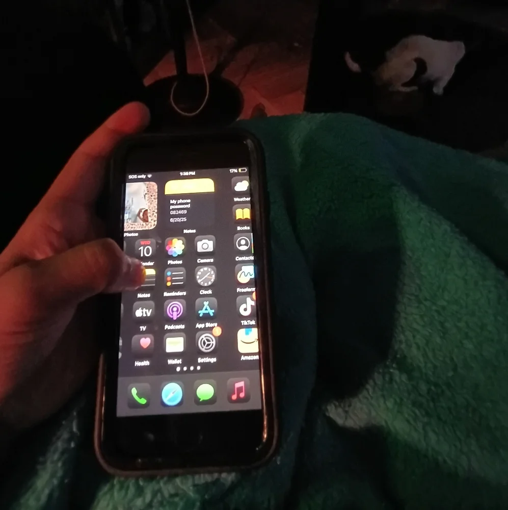 Apple Smartphone with Black Case